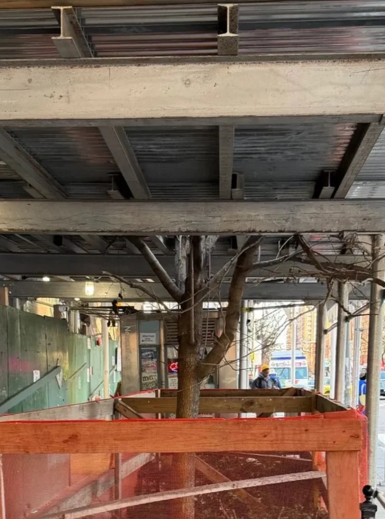 Westchester Scaffolding and Sidewalk Shed (7)